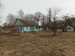 Жилой деревенский дом у озера (агрогородок) 41км от МКАД