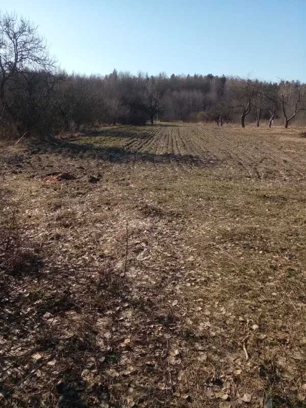 Дом в деревне Селиба Бобруйск