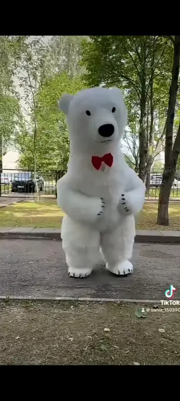 Аэро медведь.