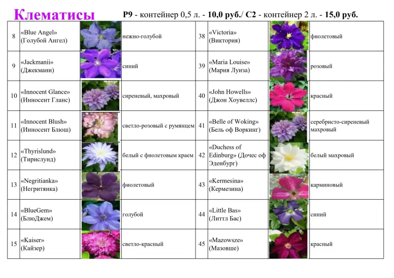 клематис - предзаказ на апрель 60 сортов