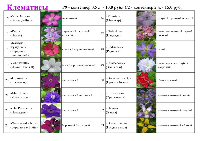 клематис - предзаказ на апрель 60 сортов