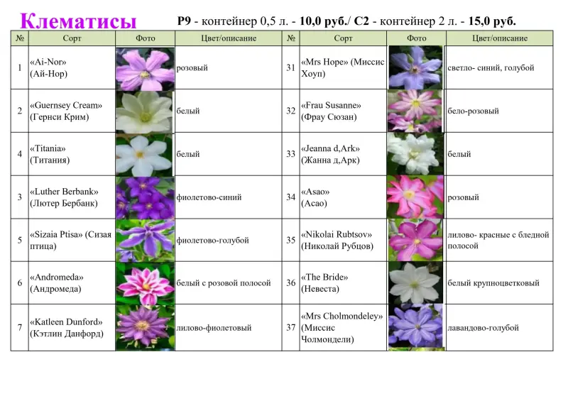клематис - предзаказ на апрель 60 сортов