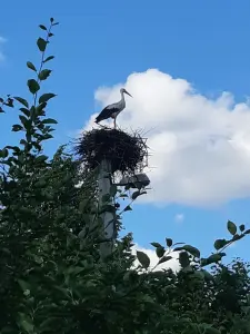 Дом с участком у озера Ёди