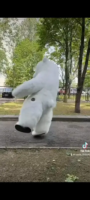 Аэро медведь.