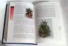 Комнатные растения. Справочник
