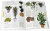 Большая энциклопедия комнатных растений + Комнатные растения