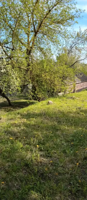 Участок со срубом и скважиной на берегу Березины