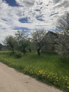 Дом с земельным участком в Миорском районе