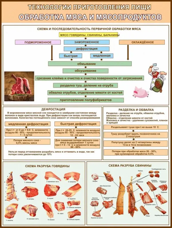 Кулинария и технологии приготовления пищи. Плакаты для колледжа