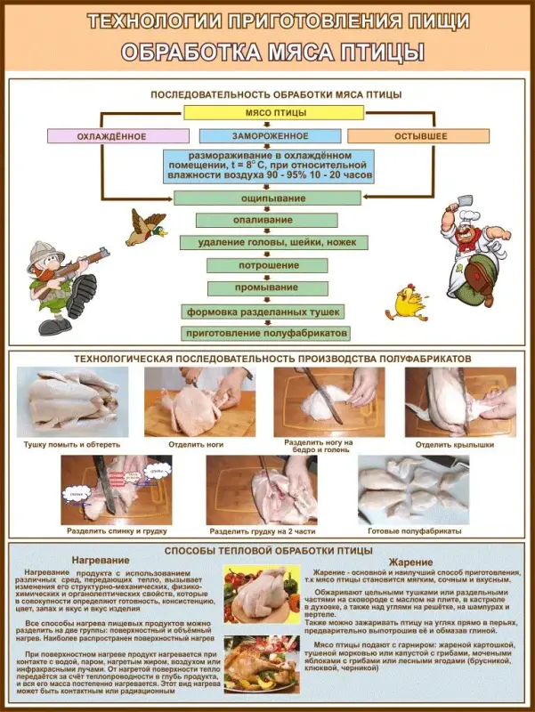 Кулинария и технологии приготовления пищи. Плакаты для колледжа