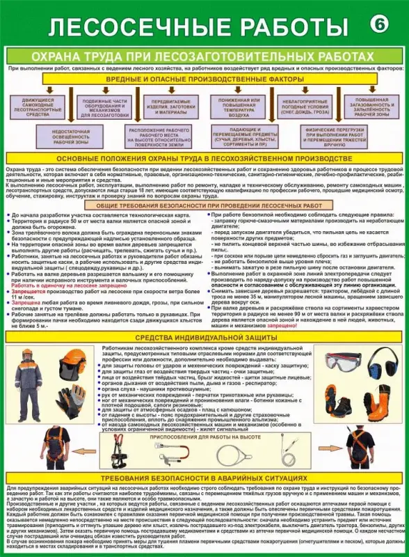 Лесосечные работы. Плакаты для колледжа