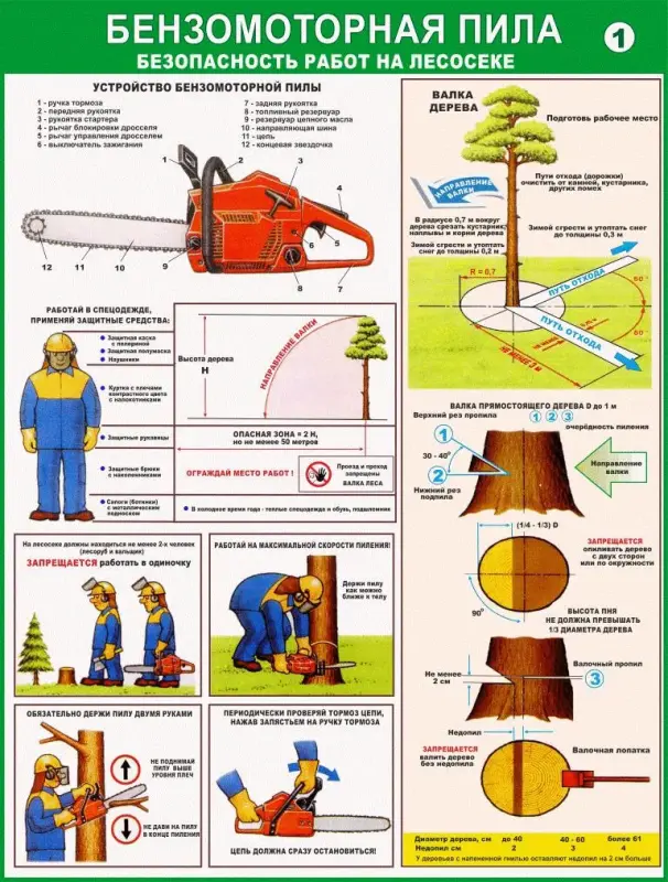 Лесосечные работы. Плакаты для колледжа