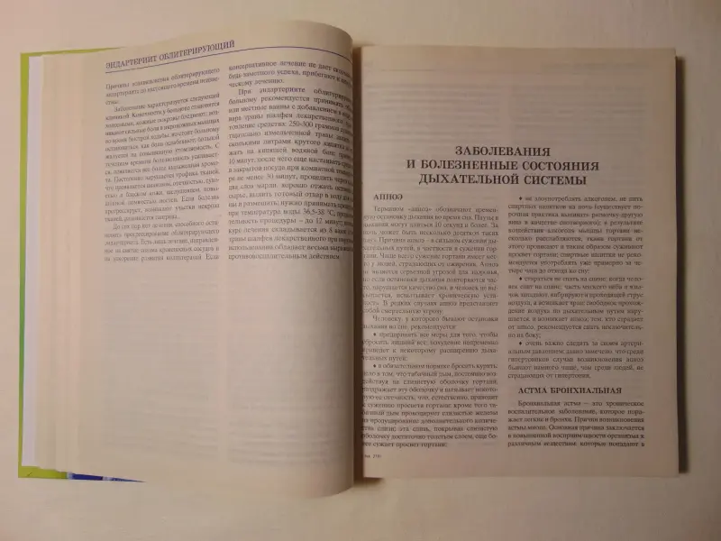 Большой домашний медицинский справочник. Лечимся традиционными и народными