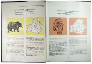 Красная книга Белорусской ССР (1-ое изд.; 1981 г.)