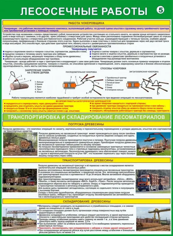 Лесосечные работы. Плакаты для колледжа