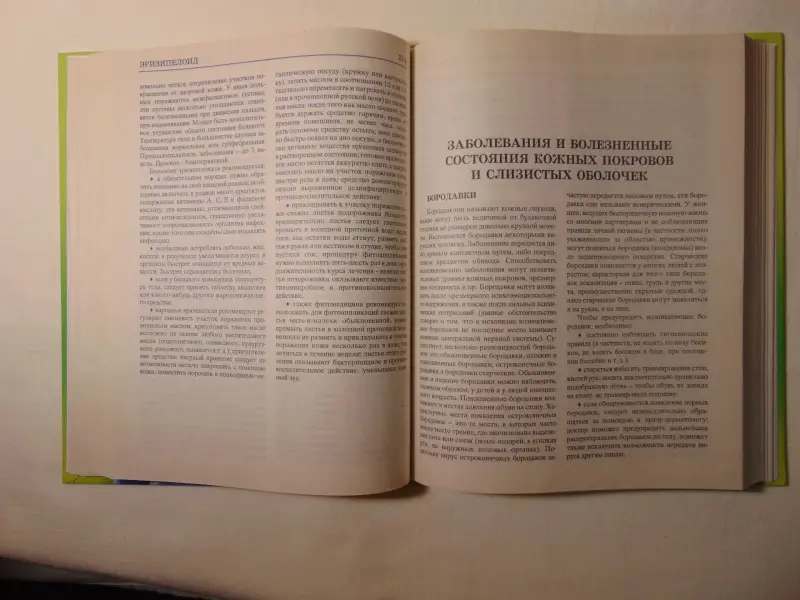 Большой домашний медицинский справочник. Лечимся традиционными и народными