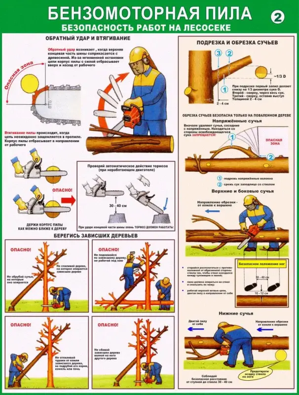 Лесосечные работы. Плакаты для колледжа