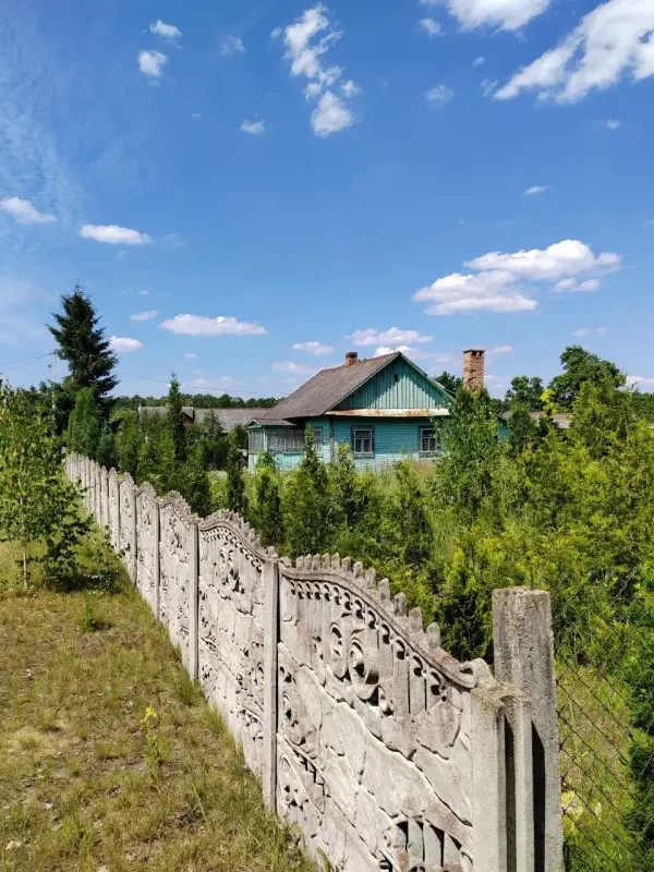 Дом деревенский деревня Болота