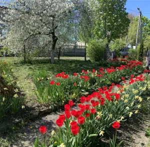 Частный дом городской посёлок Зельва