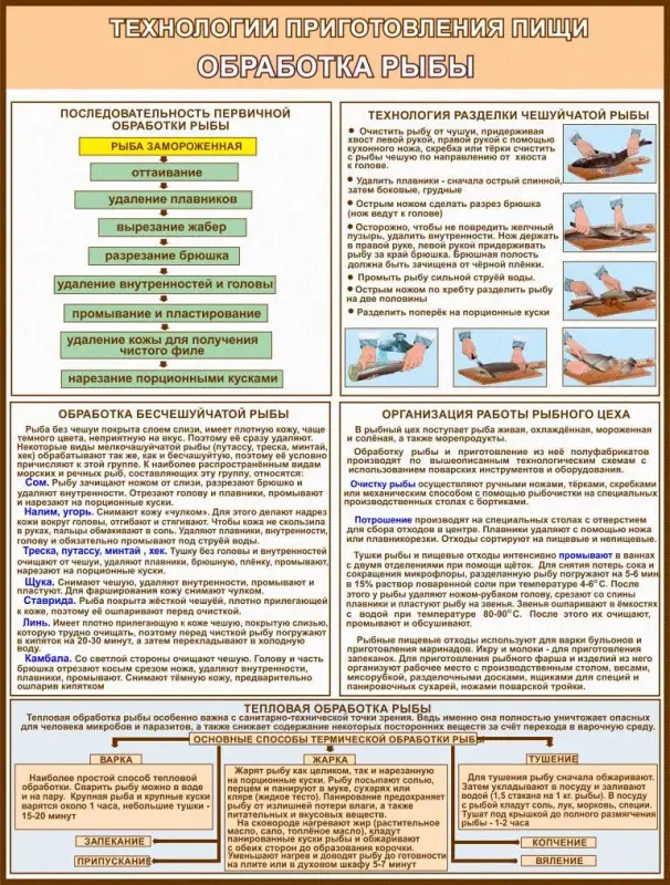Кулинария и технологии приготовления пищи. Плакаты для колледжа