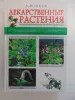 Лекарственные растения - М.: Эксмо, 2007 год, 352 страницы, ил., (мой дом)