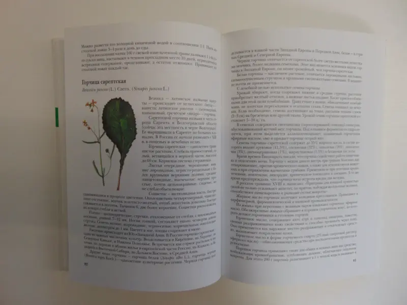 Лекарственные растения - М.: Эксмо, 2007 год, 352 страницы, ил., (мой дом)
