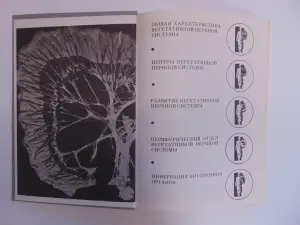 Вегетативная нервная система:Атлас