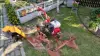 Мотоблок Беларус 09 Н с навесным