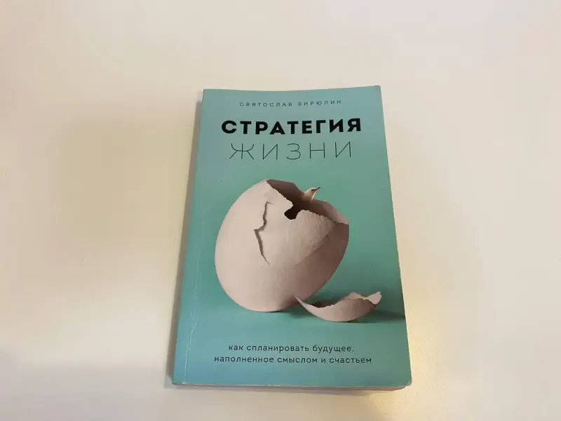 Книга стратегия жизни Святослав Бирюлин