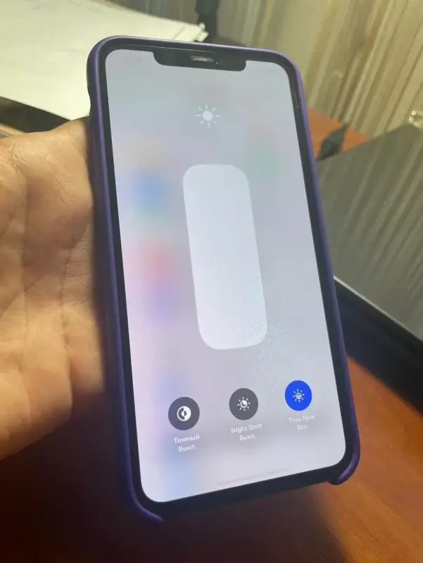 iPhone XS Max