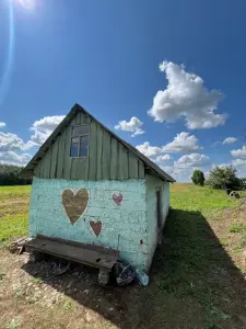 Дом  в д. Ветка, 7 км от Слуцка.