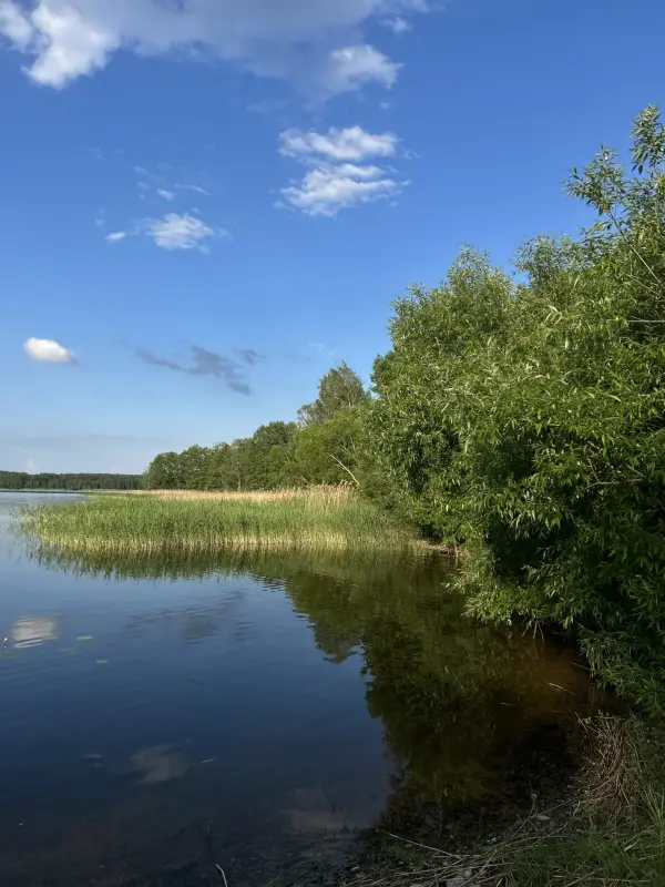 Два дома на берегу озера Свирь