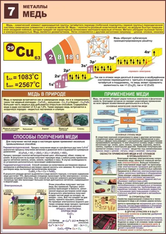 Плакаты и стенды для кабинета химии и биологии в школу