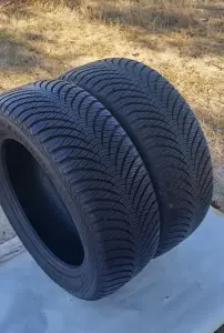 Зимняя резина GOODYEAR 205/55 R16 (2 шт.)