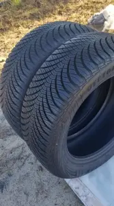 Зимняя резина GOODYEAR 205/55 R16 (2 шт.)