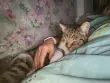 Ольга