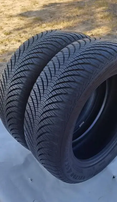 Зимняя резина GOODYEAR 205/55 R16 (2 шт.)