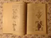 Лечение растениями. Рецептурный справочник. Т.Горбунова.,  1994 г, 304 стр