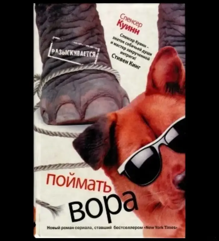 Поймать вора. книга