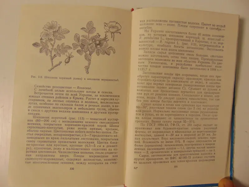 Лекарственные растения Украины. Справочник для сборщика и заготовителя.