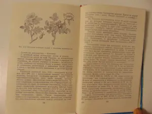 Лекарственные растения Украины. Справочник для сборщика и заготовителя.