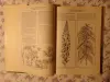 Лечение растениями. Рецептурный справочник. Т.Горбунова.,  1994 г, 304 стр