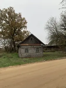 Дом в деревне Радость Каменецкого района