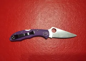 НожSpyderco delika 4