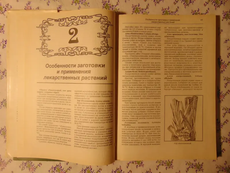 Лечение растениями. Рецептурный справочник. Т.Горбунова.,  1994 г, 304 стр