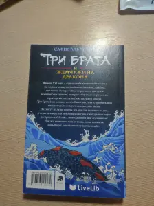 Книга Три брата и жемчужина дракона - Сафие Аль Хаффаф