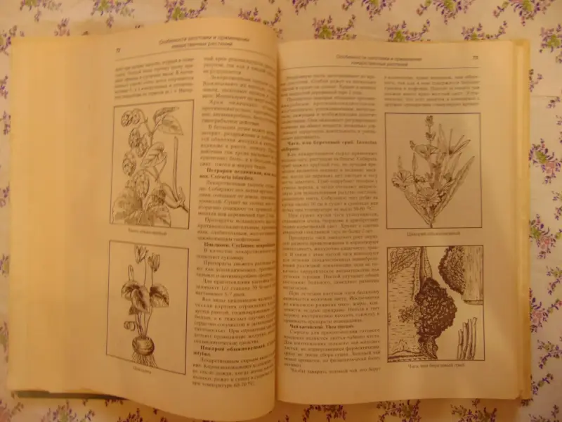 Лечение растениями. Рецептурный справочник. Т.Горбунова.,  1994 г, 304 стр