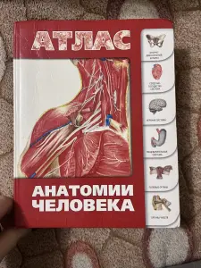 Атлас по анатомии