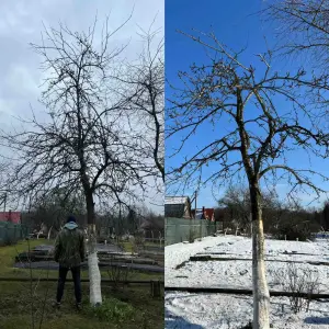 Услуги садовника.