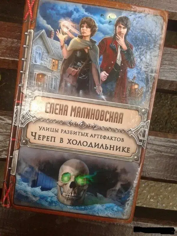 Улицы разбитых артефактов. Череп в холодильнике. Книга